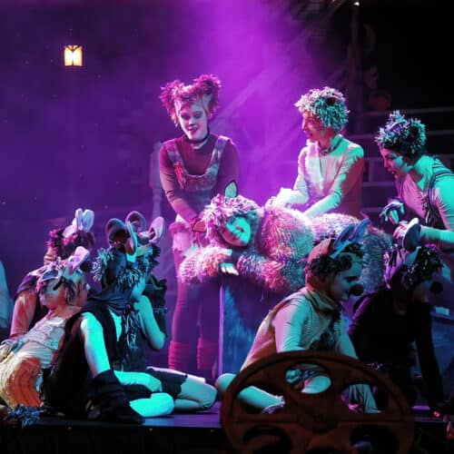 Cats 2010 1